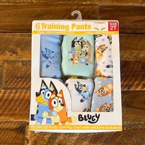 Kids 6-Pack Training Pants - Blue & White (Size 2T)